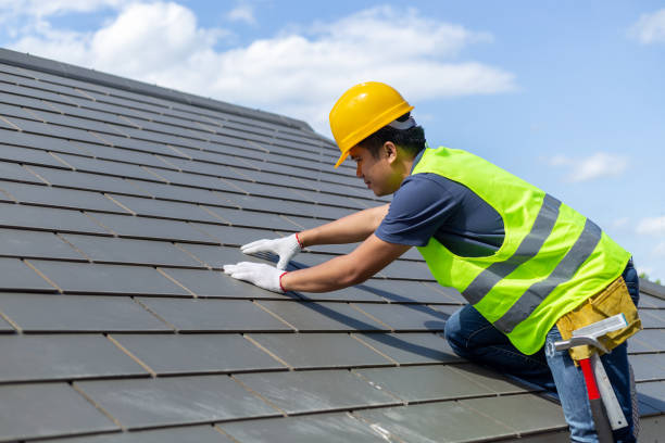 Best Roof Insulation Installation  in Paris, TN