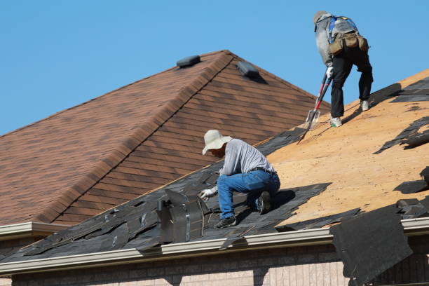 Best Roof Installation  in Paris, TN