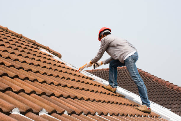 Best Green or Eco-Friendly Roofing Solutions  in Paris, TN