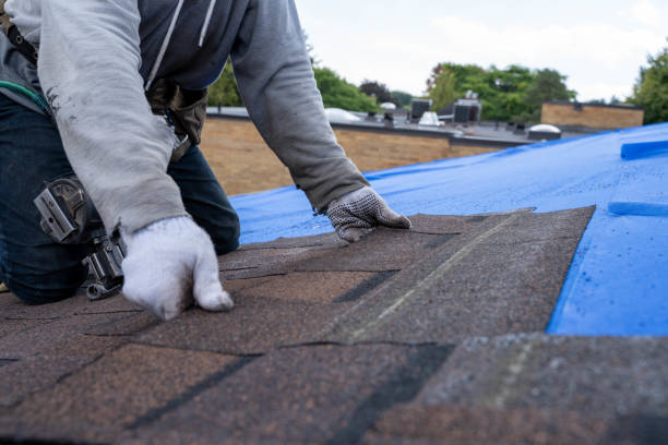 Best Roof Restoration  in Paris, TN
