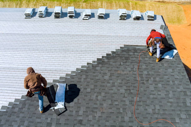 Emergency Roof Repair in Paris, TN