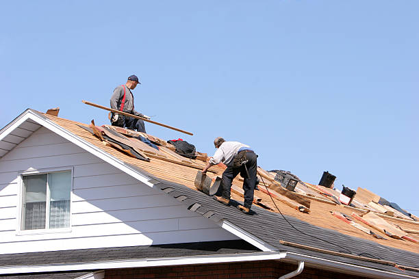 Best Roof Installation  in Paris, TN