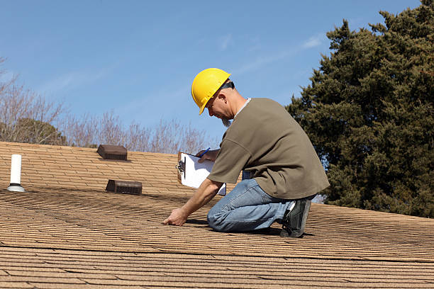 Best Sheet Metal Roofing  in Paris, TN