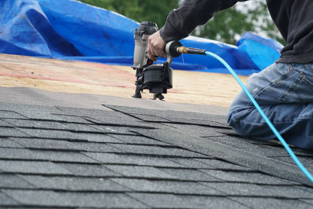 Best Roof Restoration  in Paris, TN