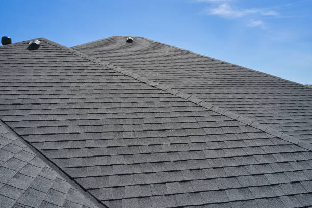 Best Skylight Installation and Repair  in Paris, TN